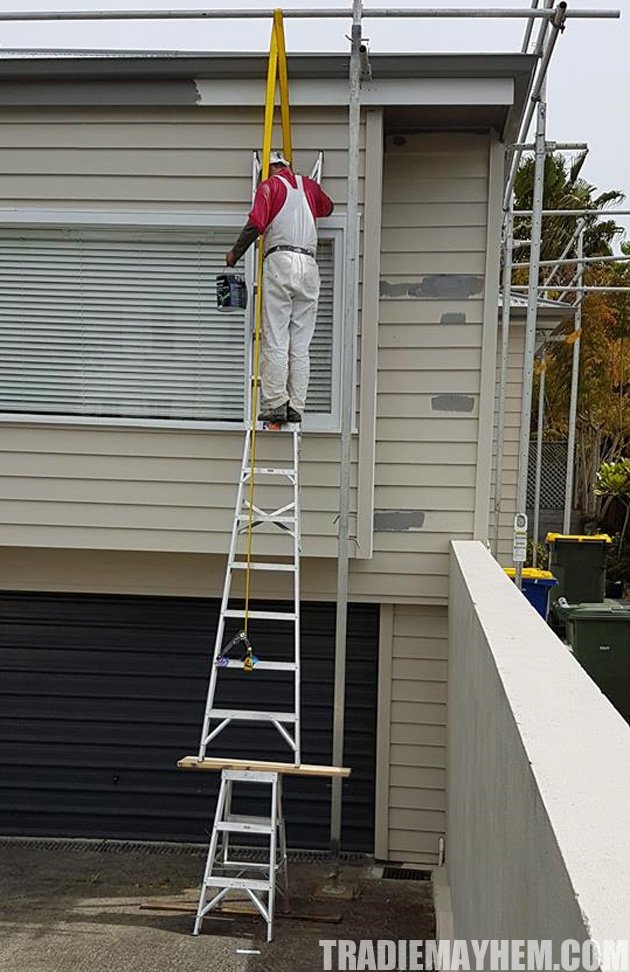 Painter on ladder