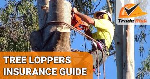 Tree Lopping Insurance